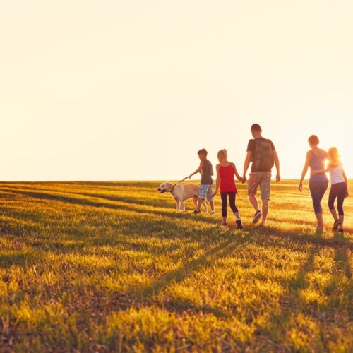 Summertime,In,The,Countryside.,Silhouettes,Of,The,Family,With,Dog